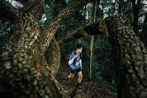 BIB: 
                            <button type="button" onclick="openModal(25703099)" class="btn btn-primary btn-sm float-right btn-popup" data-toggle="modal" data-target=".modal-high-quality">
                        <i class="fas fa-shopping-cart"></i> Add to Cart
                    </button>
                                            <button type="button" onclick="isThisMe(25703099, true)" class="btn btn-success btn-sm float-right btn-popup btn-isme hidden" data-toggle="tooltip" data-placement="bottom" title="นี่คือรูปของคุณใช่ไหม คลิกที่นี่เพื่อเอาเข้าอัลบั้ม">
                        <i class="fas fa-plus"></i> Add to album
                    </button>
                    <button type="button" onclick="isThisMe(25703099, false)" class="btn btn-warning btn-sm float-right btn-popup btn-isnotme hidden">
                        <i class="fas fa-ban"></i> Remove from album
                    </button>